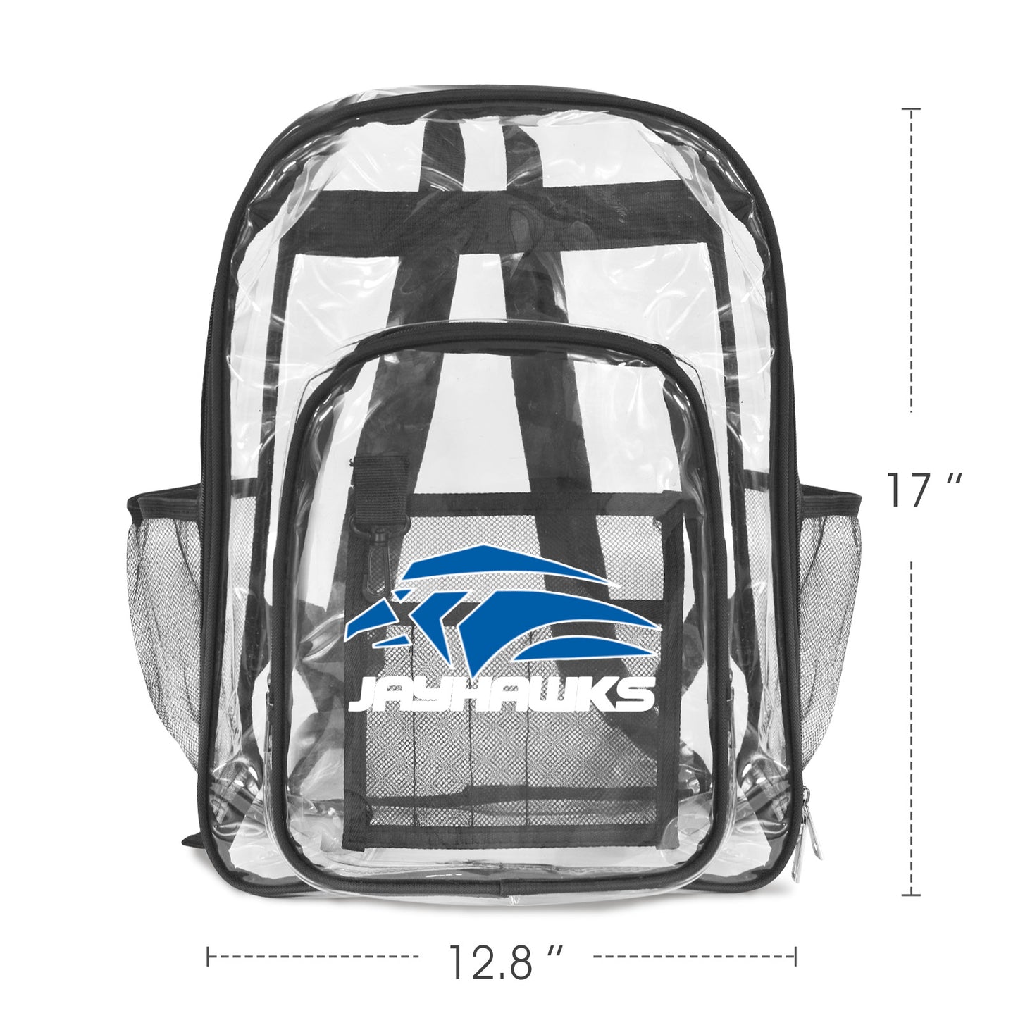 Transparent Backpack